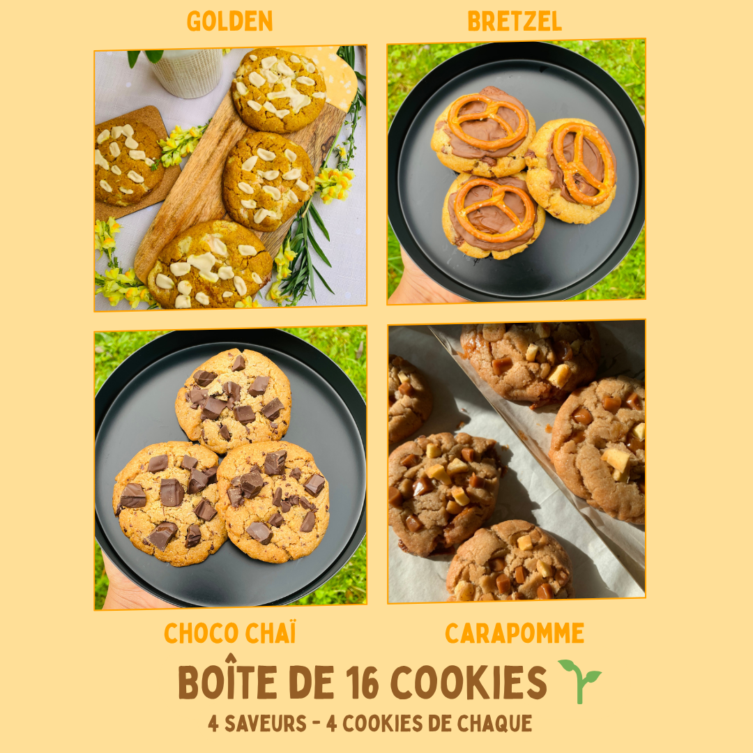Boîte Winter 16 cookies